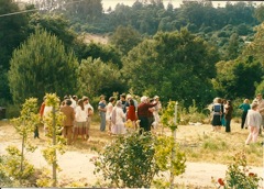 1985-Tree Planting at Book Publishing Party